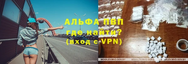 эйфоретик Арсеньев