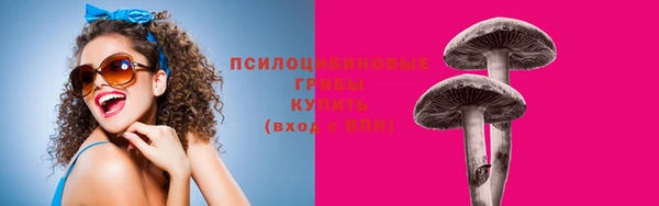 прущая мука Алзамай