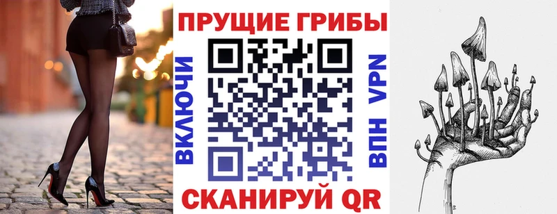 Купить закладки  Салаир  Галлюциногенные грибы ЛСД 